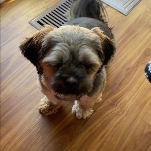 Meet your Posher, Ava